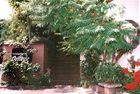 Treppe zum Garten