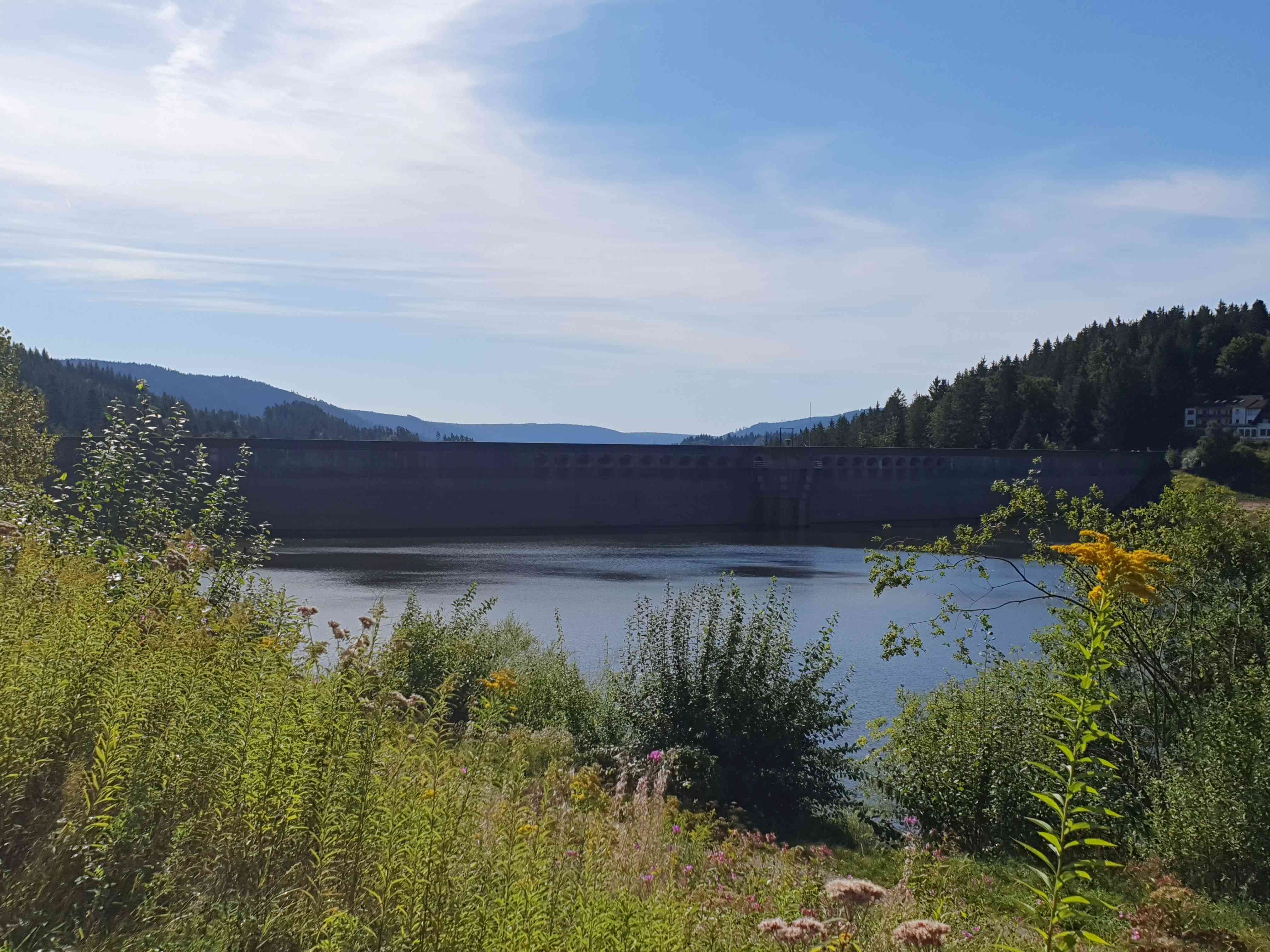 Blick auf den Mummelsee