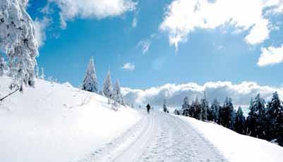 Schwarzwald-Winterlandschaft