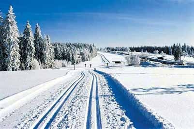 Schwarzwald-Winterlandschaft