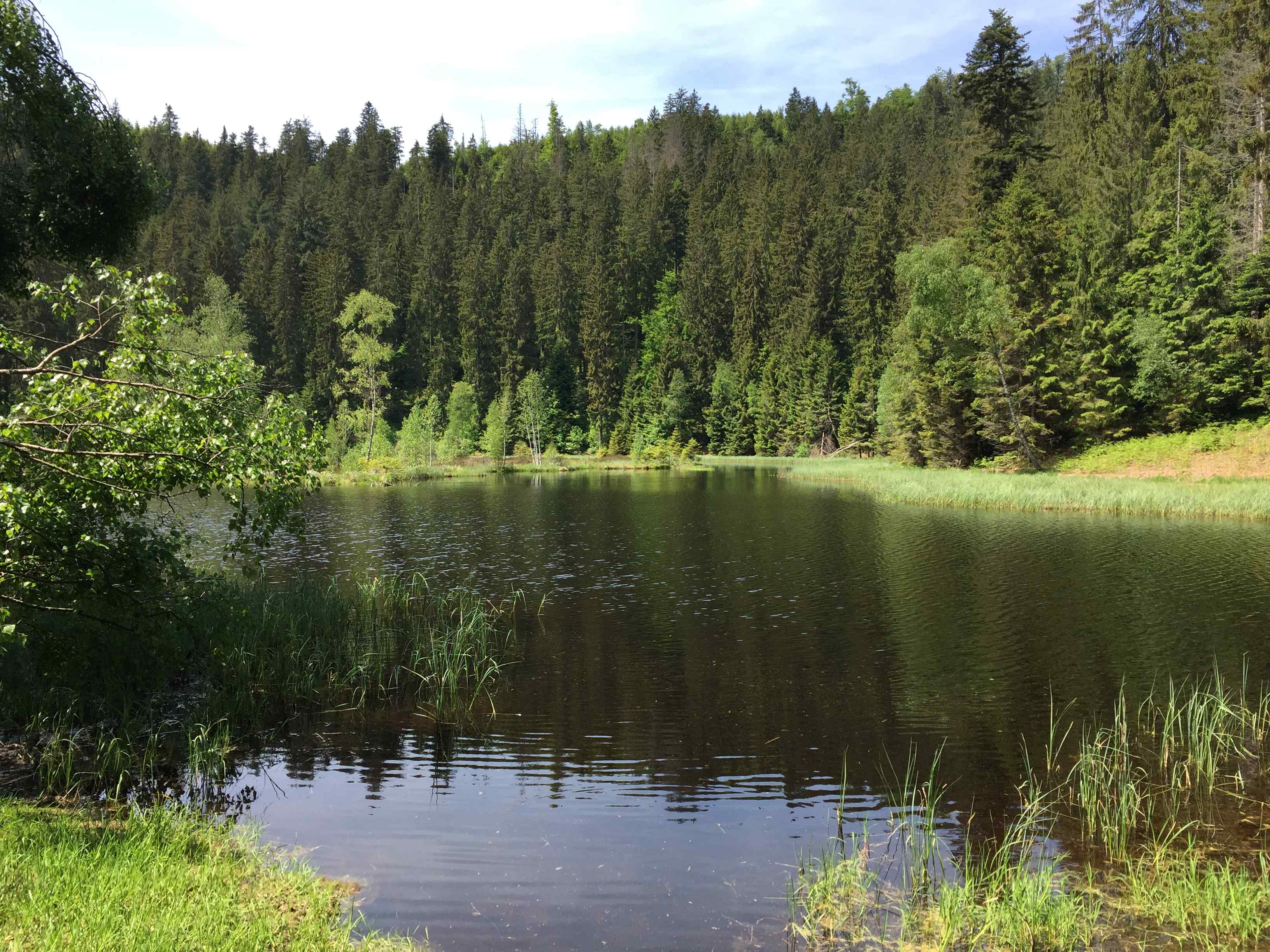 Eindrücke unserer Umgebung