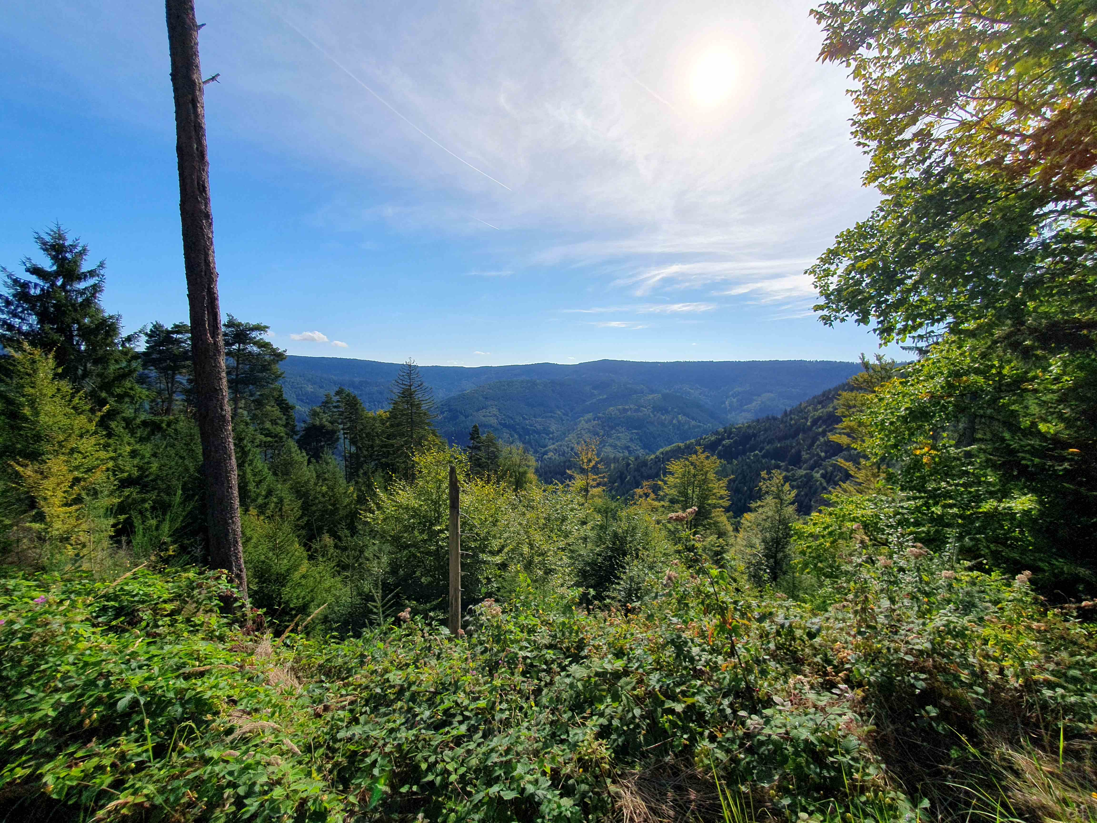 Aussicht von der Schwarzwald-Hochstraße