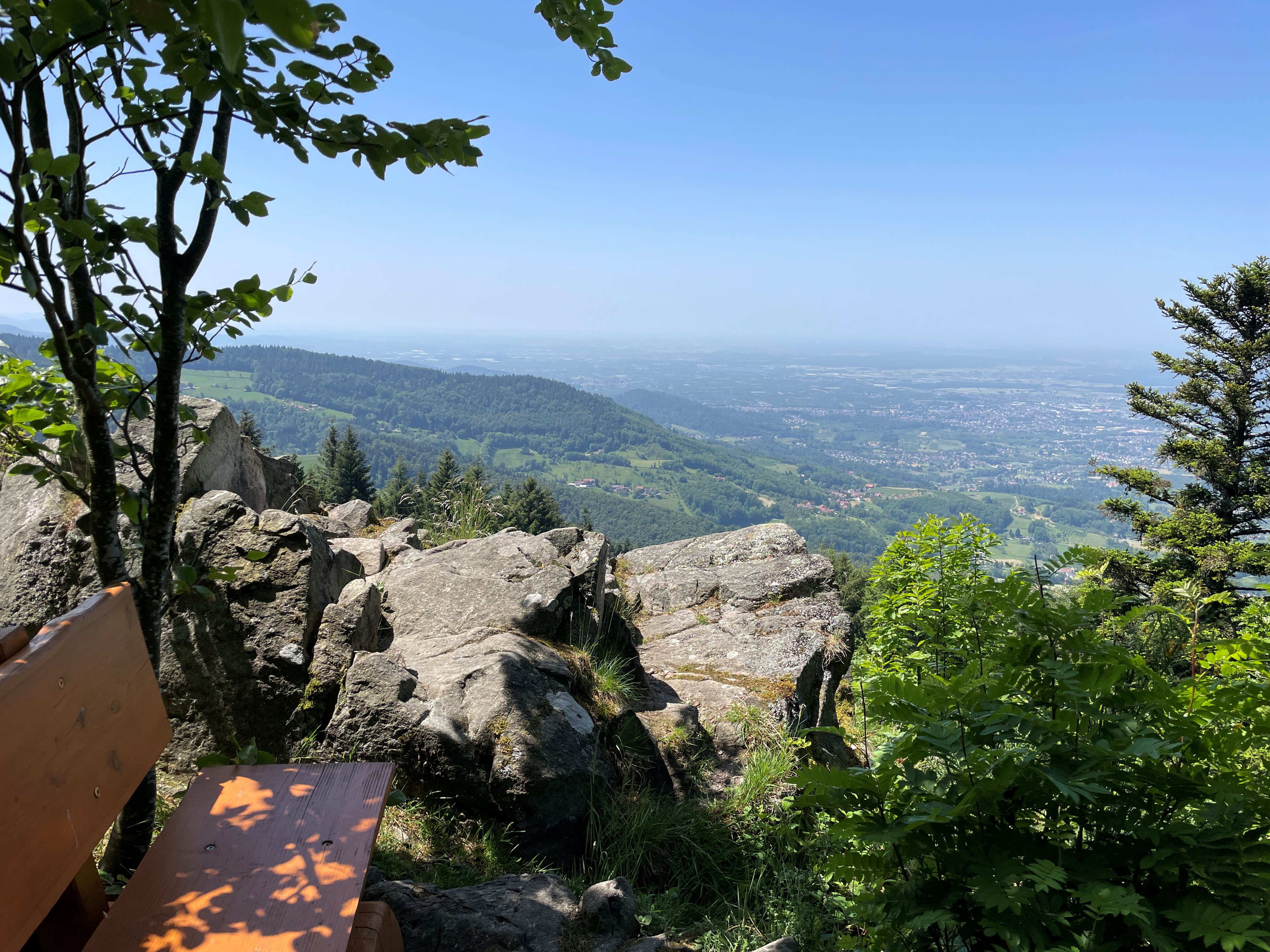 Natur im Schwarzwald