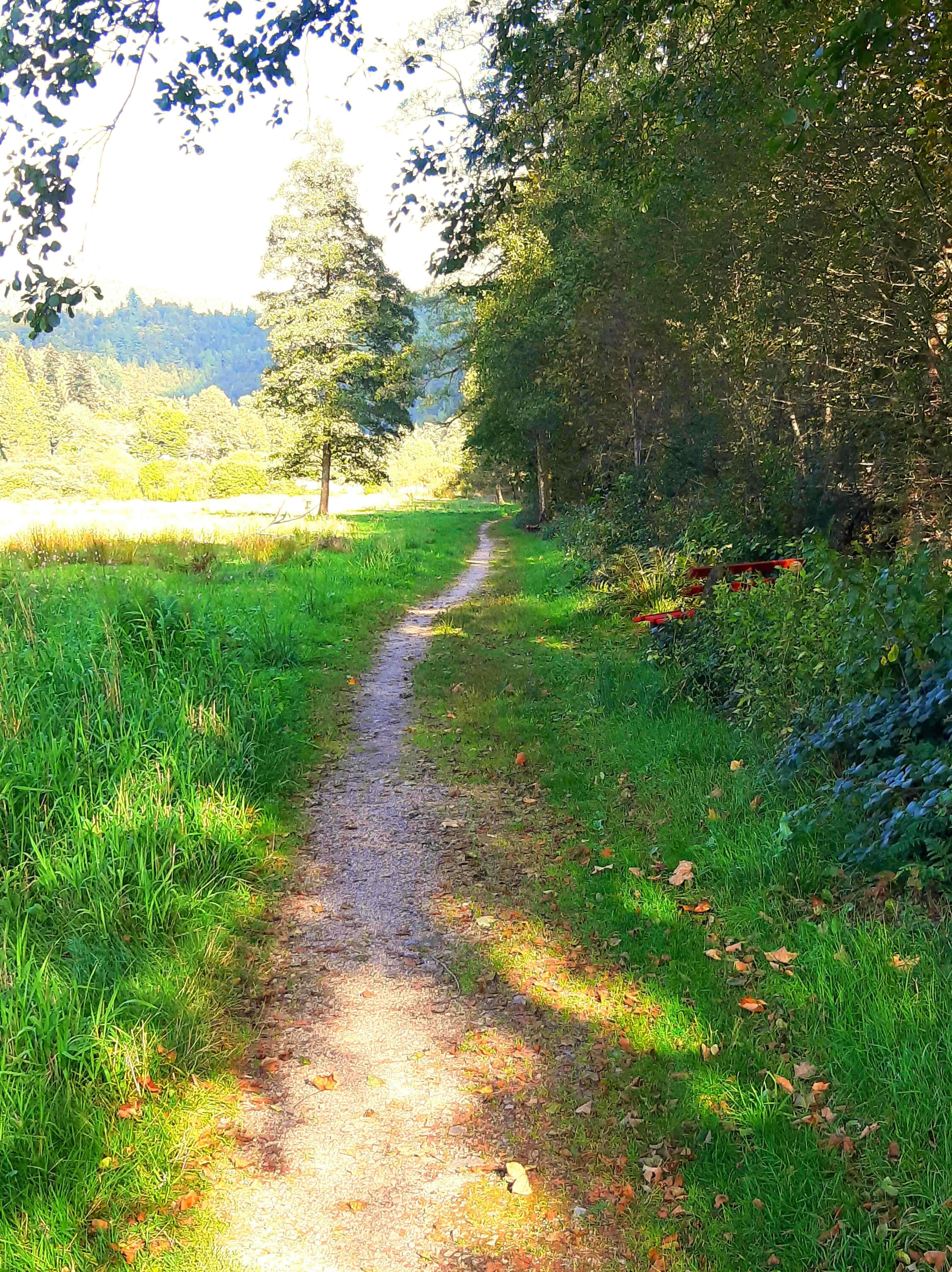 Zwei Personen beim Nordic-Walking
