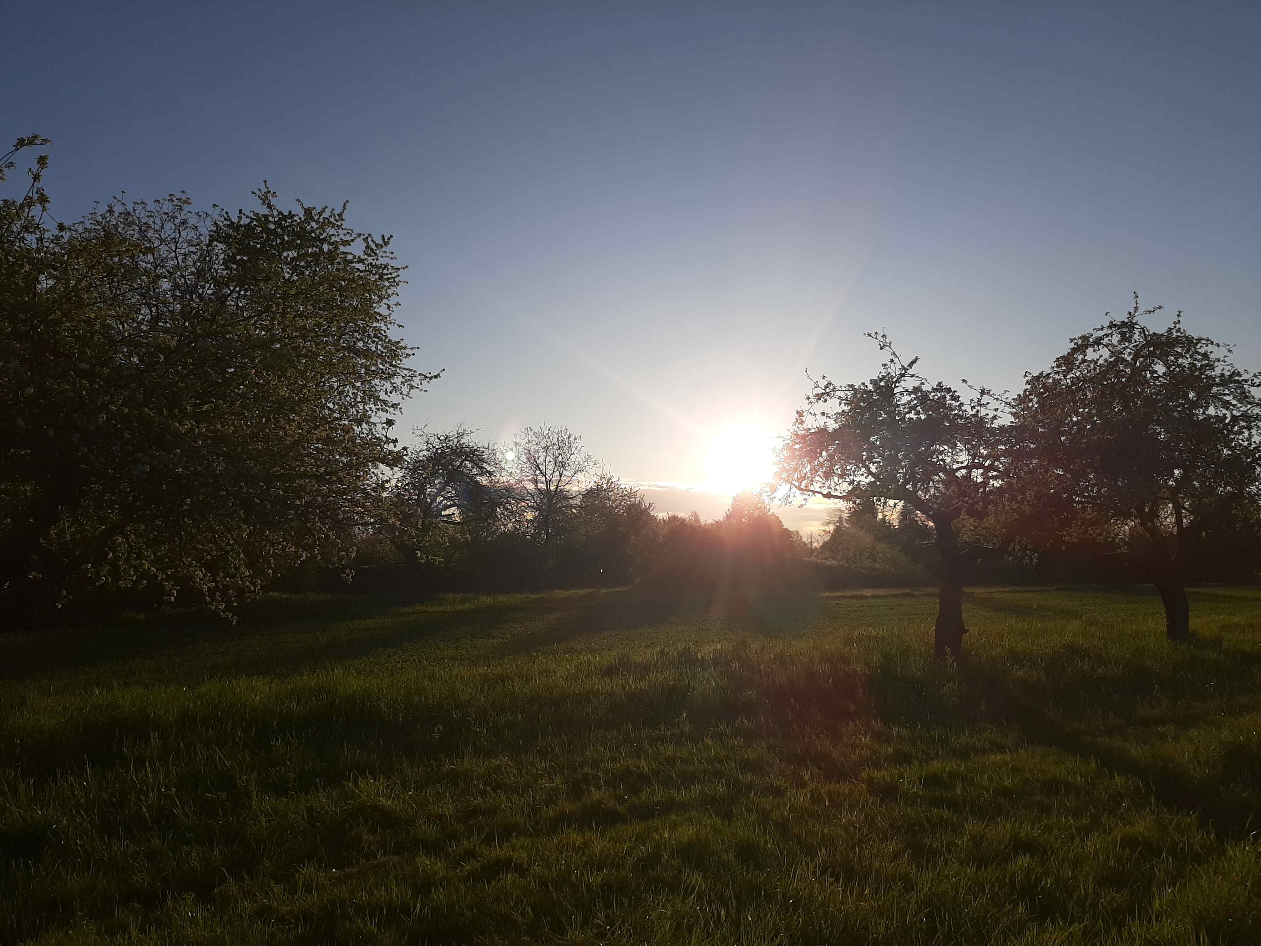 Bild Schwarzwald